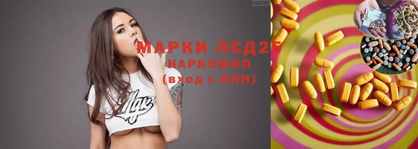 спиды Ладушкин