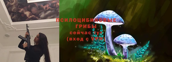 не бодяженный Саяногорск