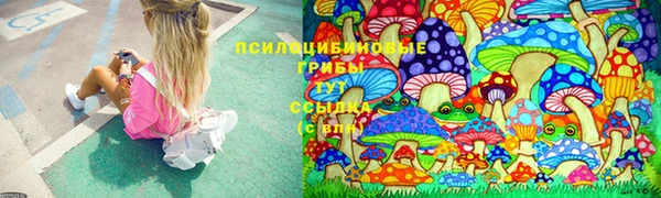 спайс Лабытнанги