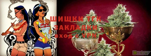 соль ск Лагань