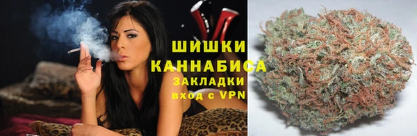 спиды Ладушкин